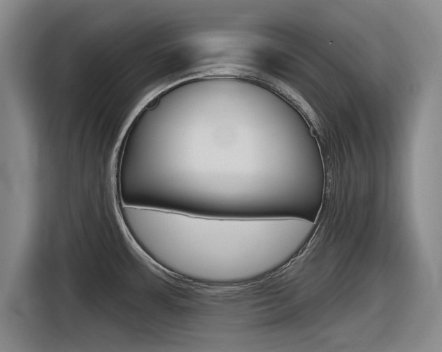 X0000116831483200912181044