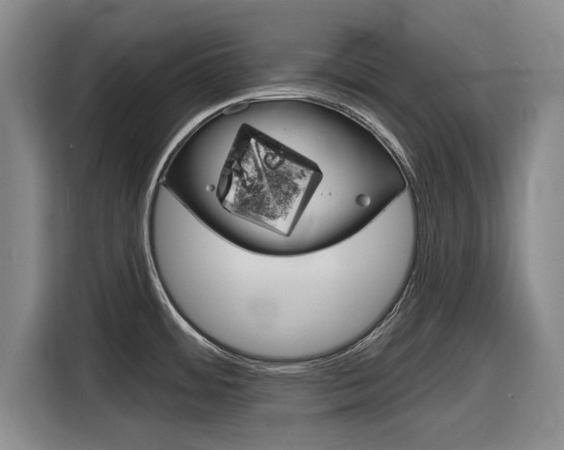X0000116831484200912181044