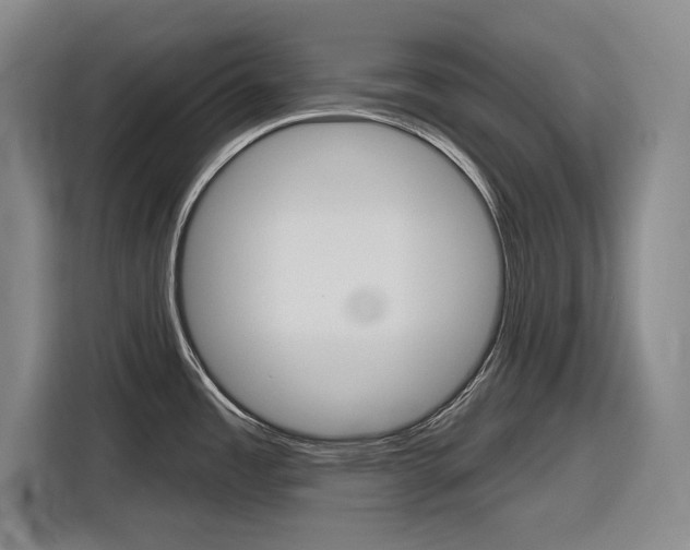 X0000116831485200912181044