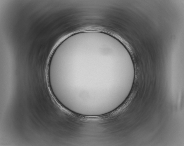 X0000116831486200912181044