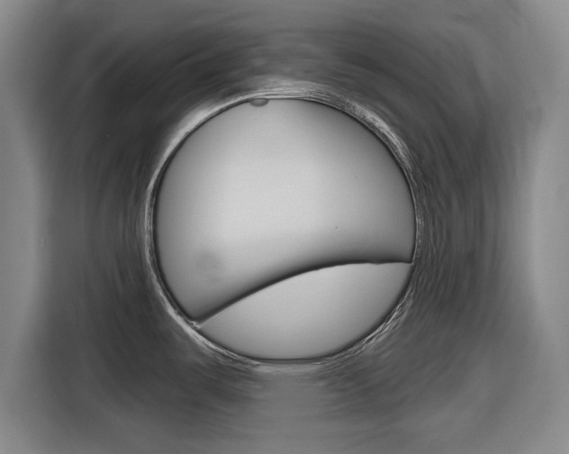 X0000116831487200912181044