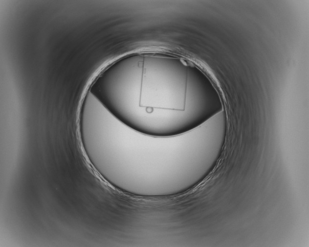 X0000116831488200912181044