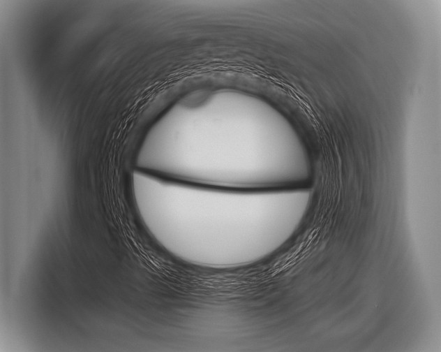 X0000116831489200912181043