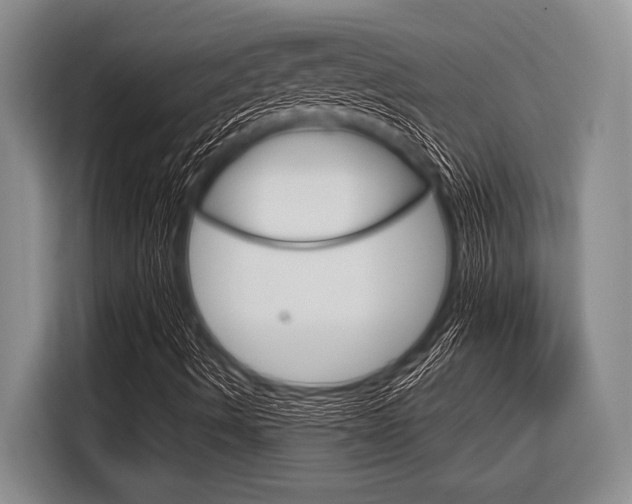 X0000116831490200912181043