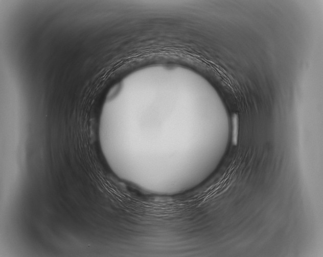 X0000116831491200912181043