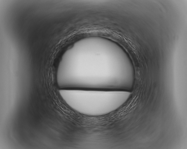 X0000116831493200912181044
