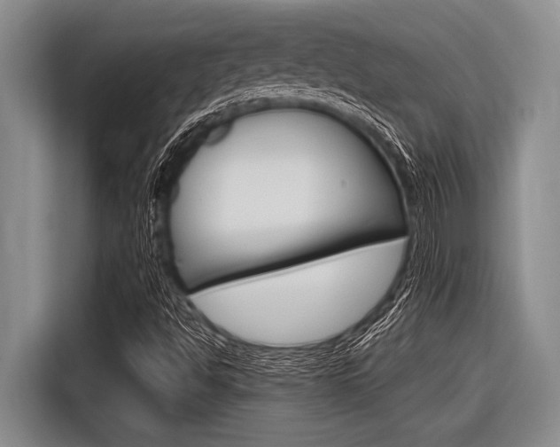 X0000116831494200912181044