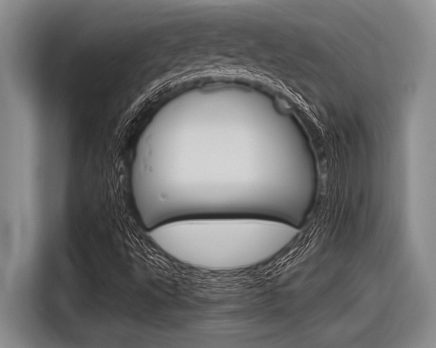 X0000116831495200912181044