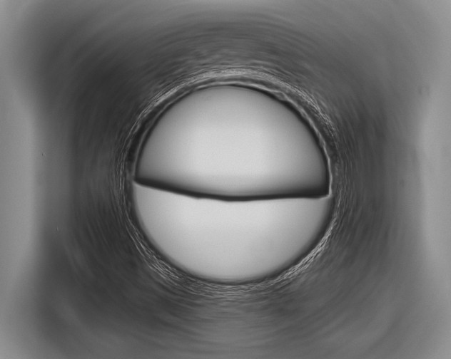 X0000116831497200912181044
