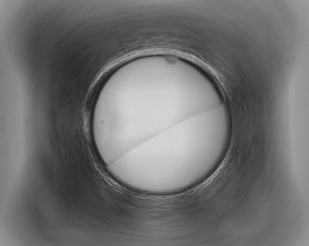 X0000116831498200912181044