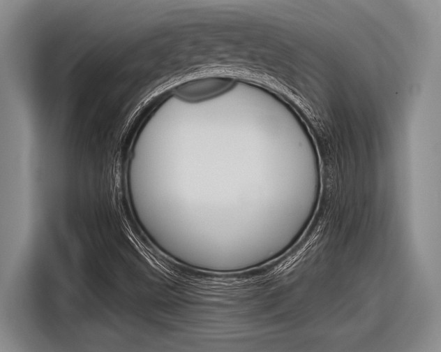 X0000116831499200912181044