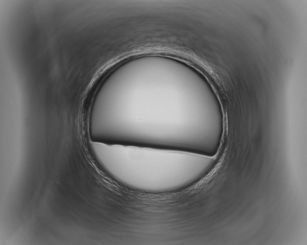 X0000116831501200912181044