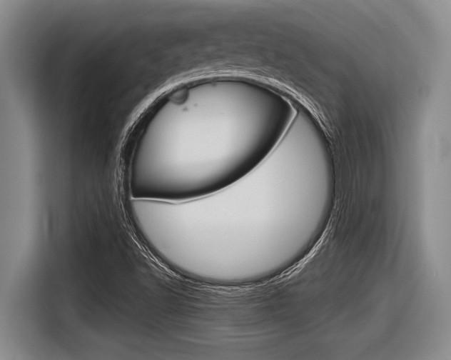 X0000116831502200912181044