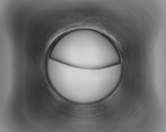 X0000116831503200912181044
