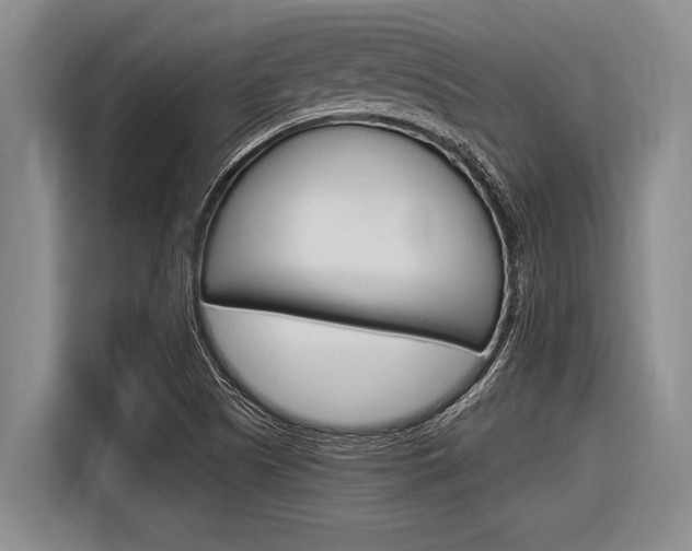 X0000116831505200912181044