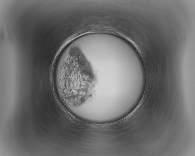 X0000116831506200912181044
