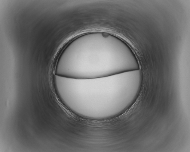 X0000116831507200912181044