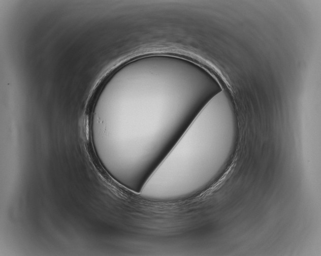 X0000116831509200912181044