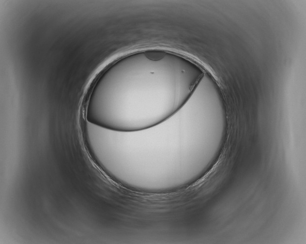 X0000116831510200912181044