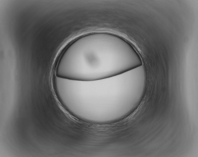 X0000116831511200912181044