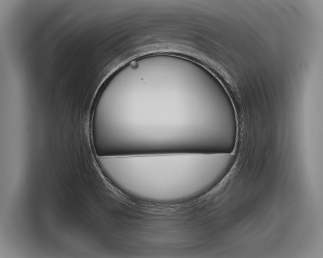 X0000116831513200912181044