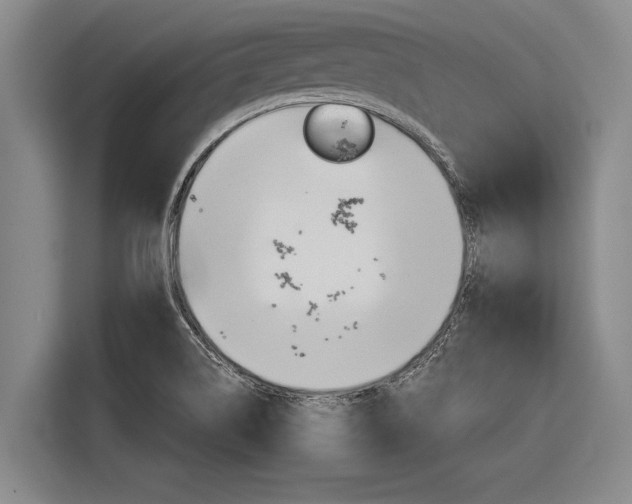 X0000116831514200912181044