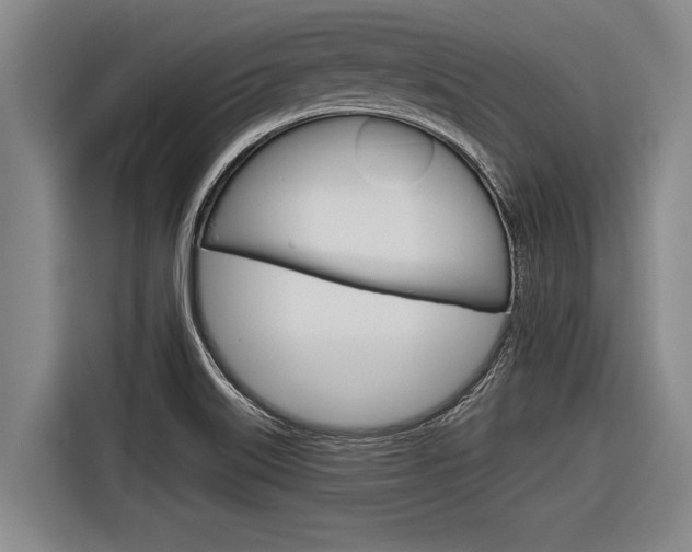 X0000116831515200912181044