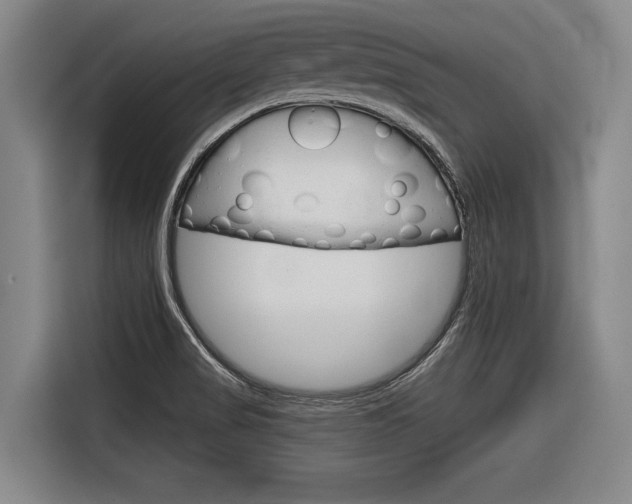 X0000116831517200912181044