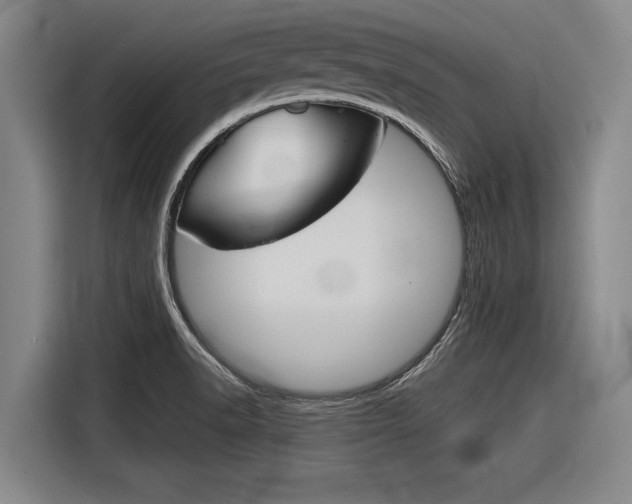 X0000116831518200912181044