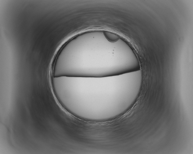 X0000116831519200912181044