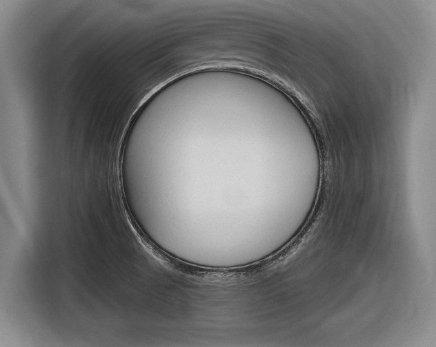 X0000116831521200912181044