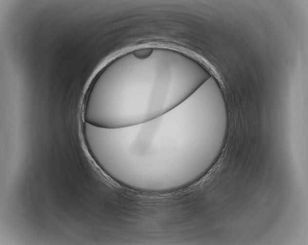 X0000116831522200912181044