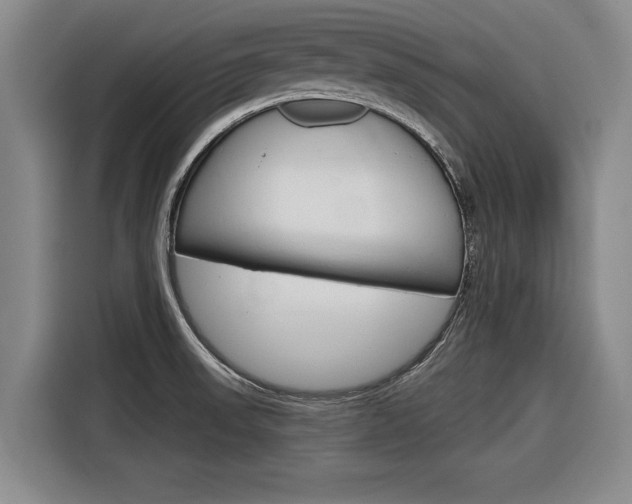 X0000116831523200912181044