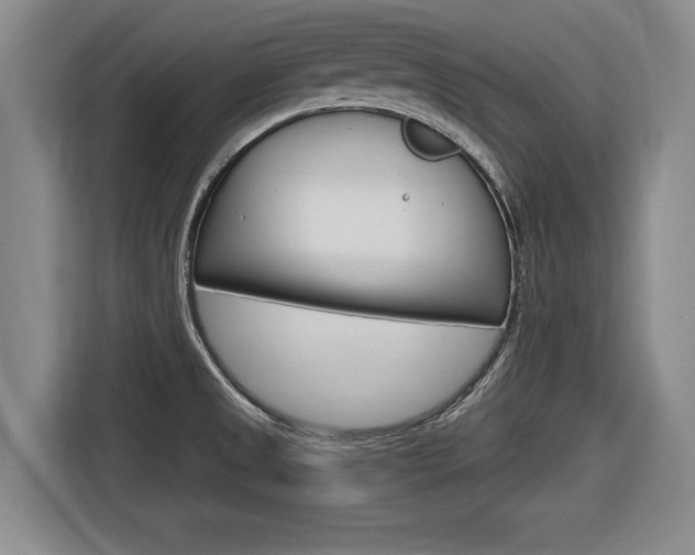 X0000116831525200912181044