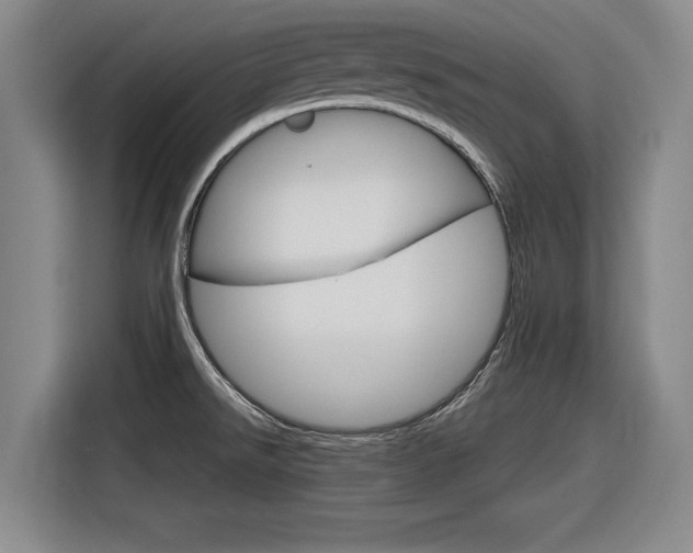 X0000116831526200912181044