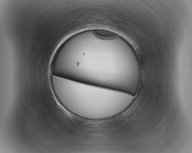 X0000116831527200912181044