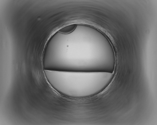 X0000116831529200912181044