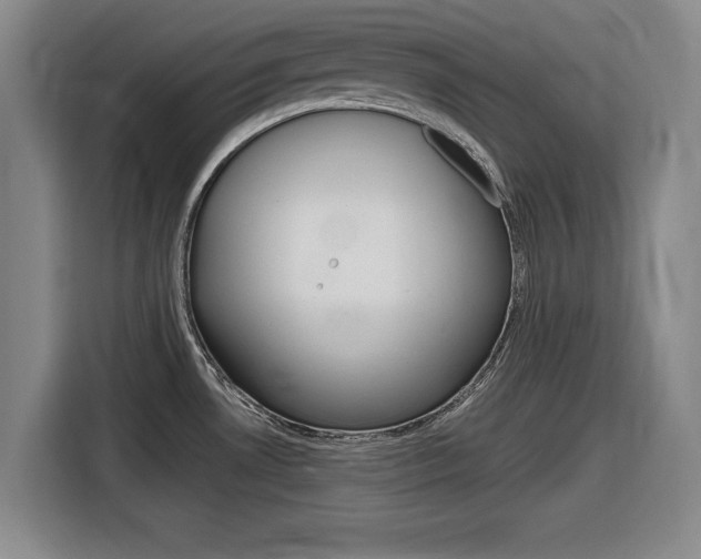 X0000116831530200912181044