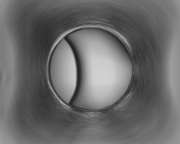 X0000116831533200912181044