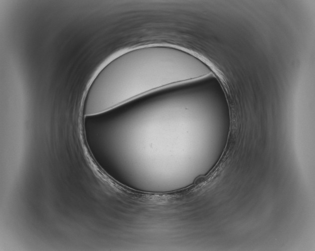 X0000116831534200912181044