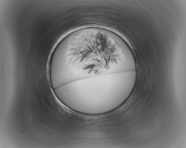 X0000116831535200912181044