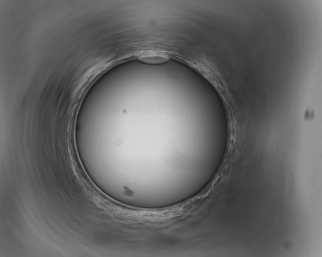X0000116830001200912181445