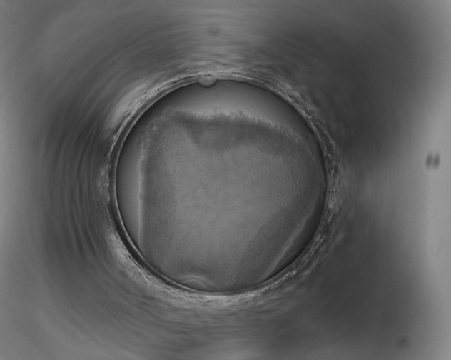 X0000116830002200912181445