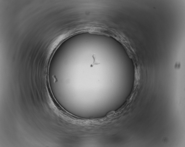 X0000116830003200912181445