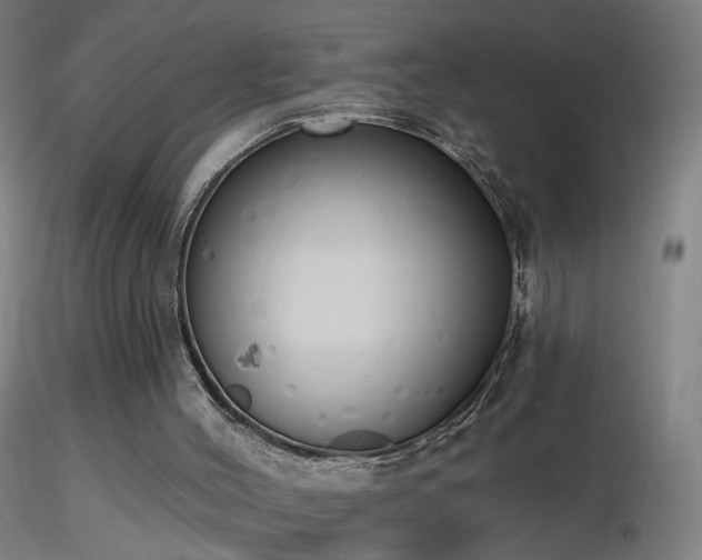 X0000116830004200912181445
