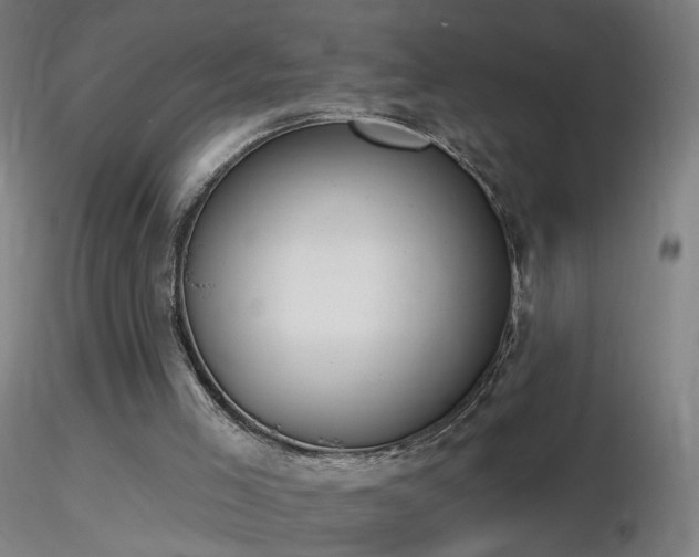 X0000116830005200912181445