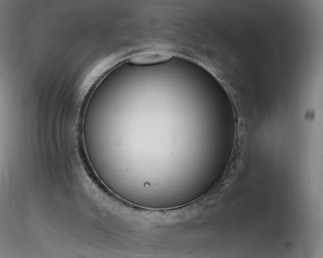 X0000116830007200912181445
