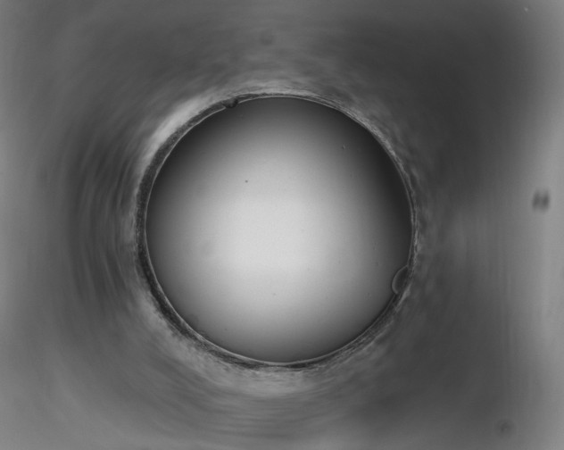 X0000116830008200912181445