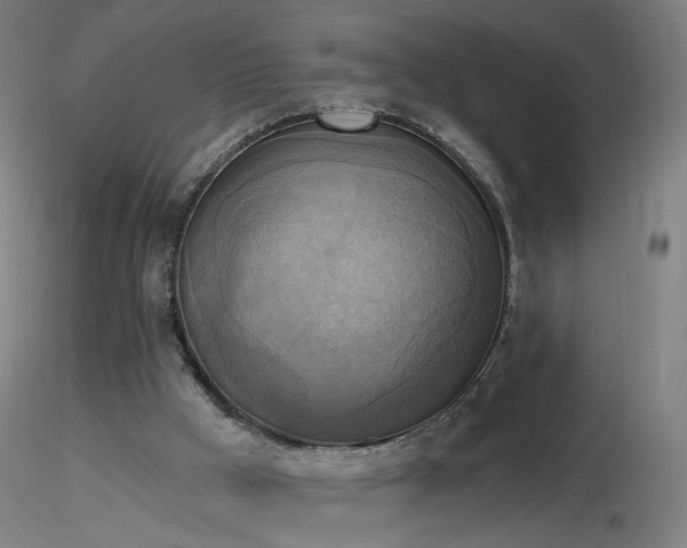 X0000116830009200912181445