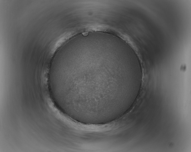 X0000116830010200912181445